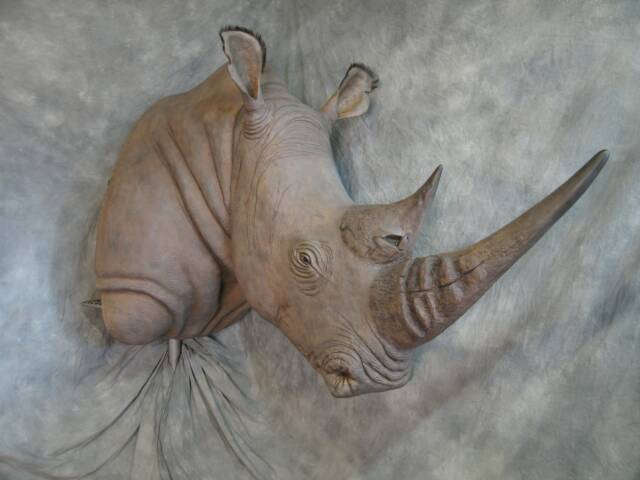                                     Reproduction White Rhino - Custom Altered                               