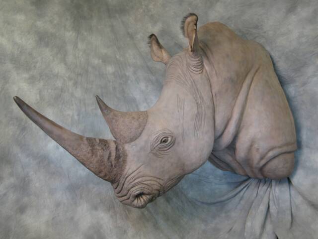 Reproduction White Rhino - Custom Alterations